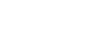 Logo Disluv